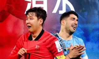 进入世界杯16强的国家 日本韩国被做进16强